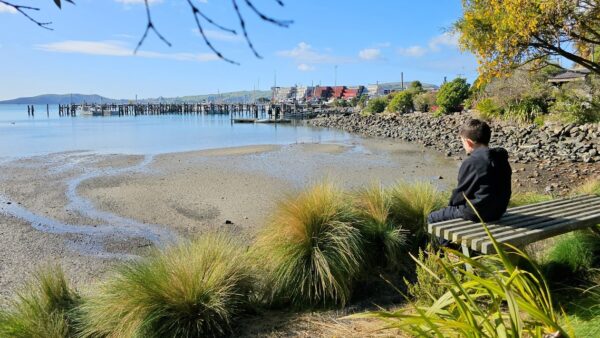 Scenic Otago 2026 Calendar - Image 2