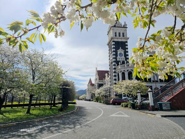 Scenic Otago 2026 Calendar - Image 3