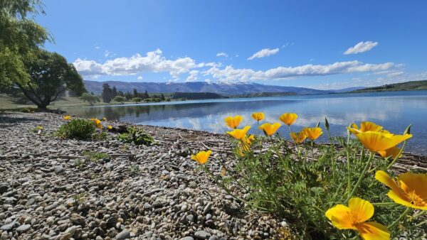 Scenic Otago 2026 Calendar - Image 8