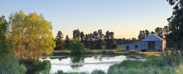 Scenic Otago 2026 Calendar - Image 11