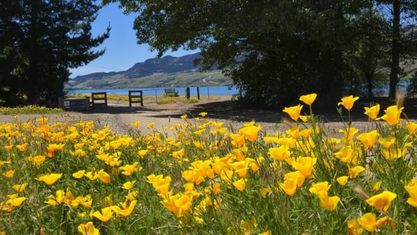 Scenic Cromwell 2026 Calendar - Image 5